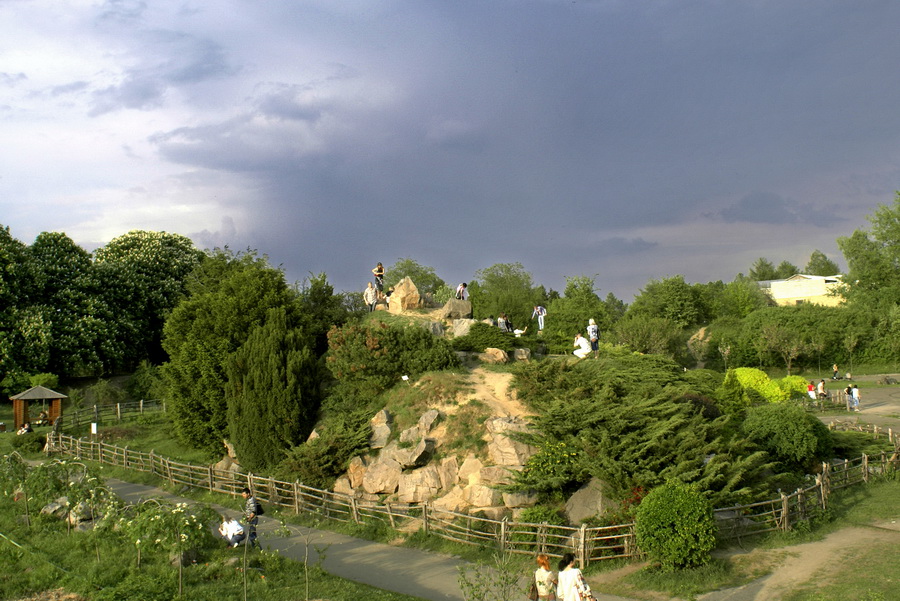 Ботанический сад Киев Печерск фото