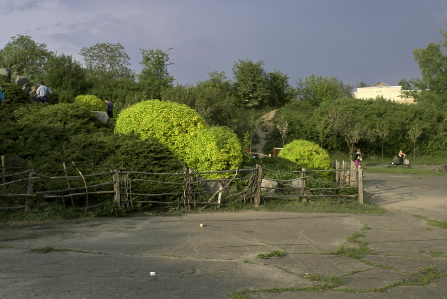 Ботанический сад Киев Печерск фото