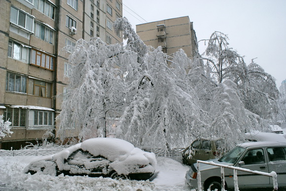 Киев зимой. Фото. 