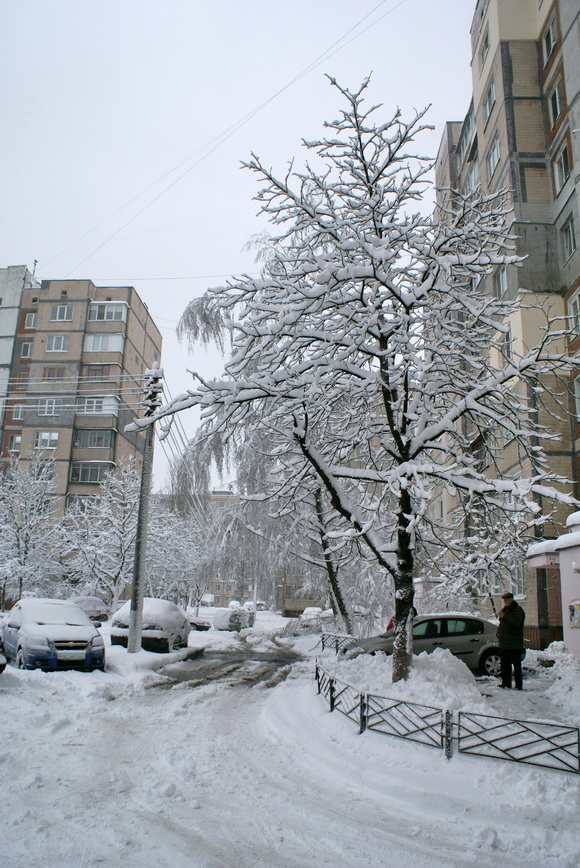 Киев зимой. Фото. 